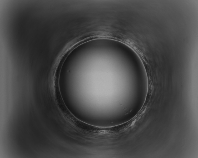 X0000095920151200801111242