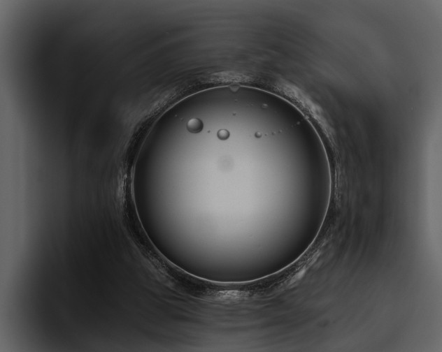 X0000095920153200801111242