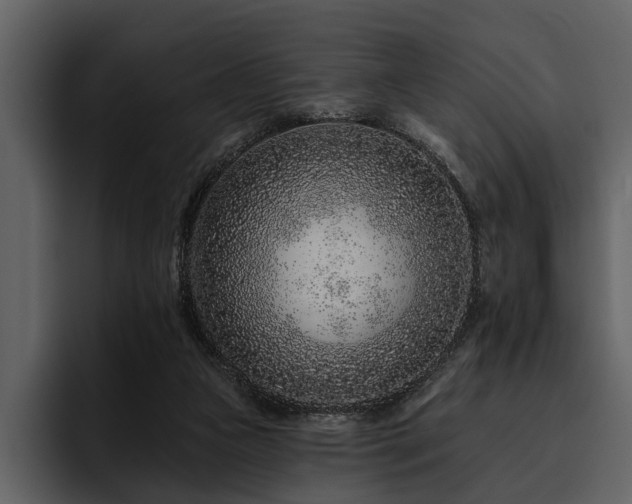 X0000095920161200801111242