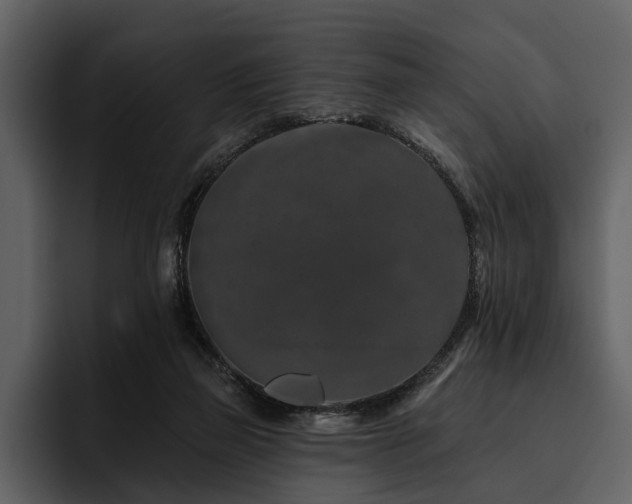 X0000095920165200801111242