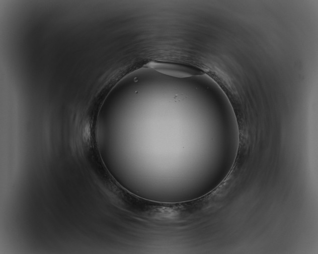 X0000095920166200801111242