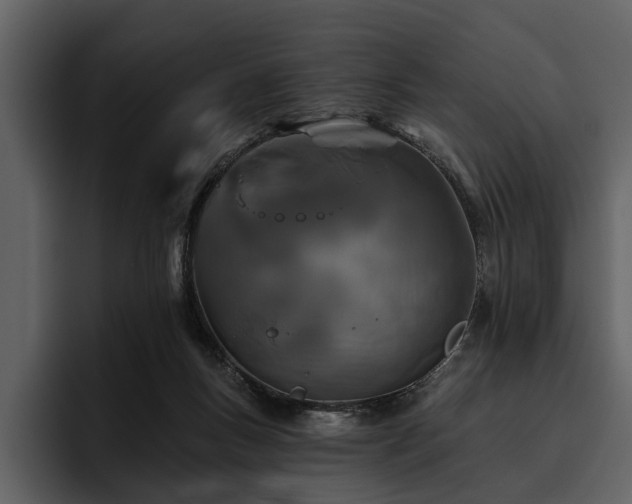 X0000095920167200801111242