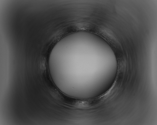 X0000095920174200801111242