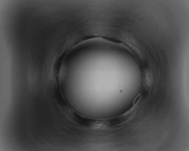 X0000095920175200801111242