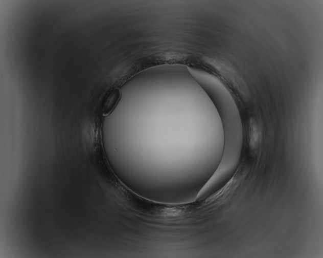 X0000095920176200801111242