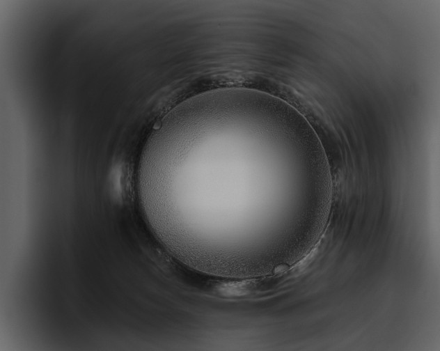 X0000095920178200801111242