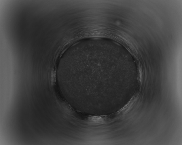 X0000095920180200801111242