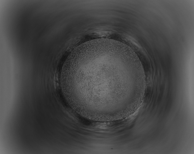 X0000095920182200801111242