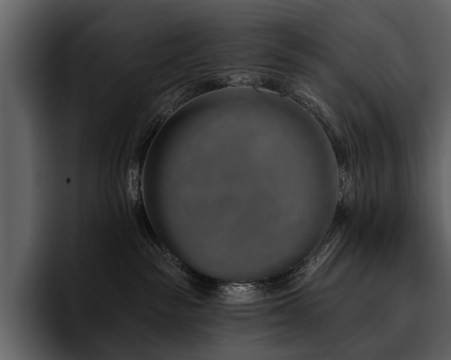 X0000095920189200801111242