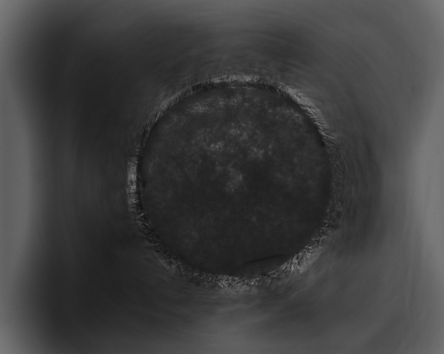 X0000095920192200801111242