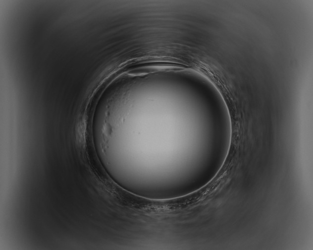 X0000095920194200801111242