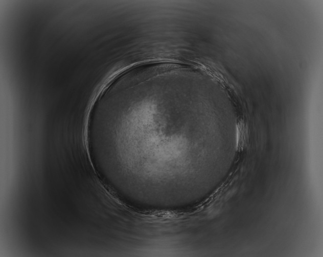 X0000095920195200801111242