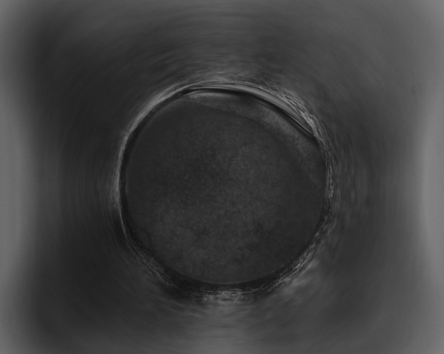 X0000095920196200801111242