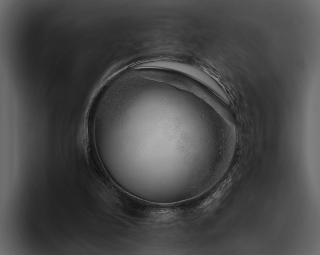 X0000095920198200801111242