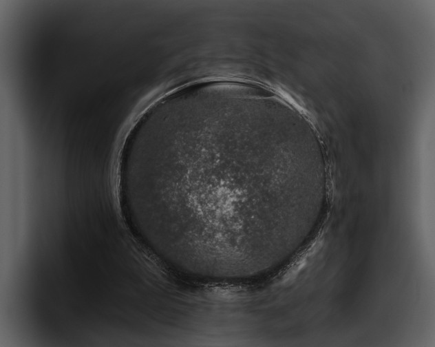 X0000095920199200801111242