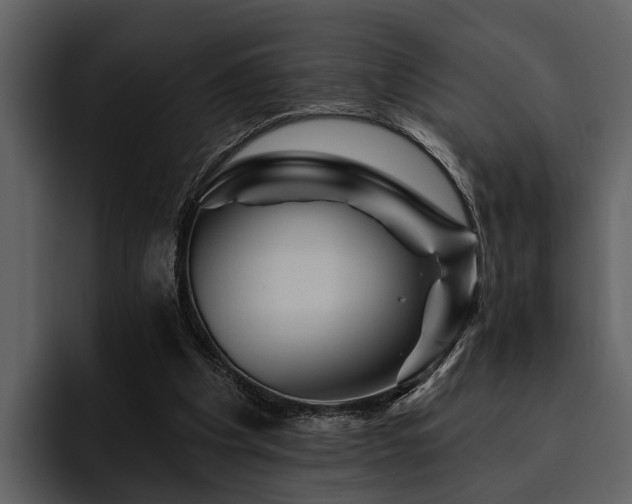 X0000095920201200801111242