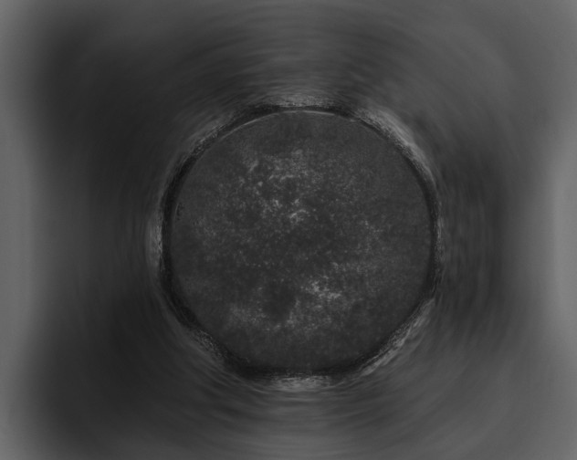 X0000095920202200801111242