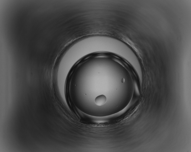 X0000095920203200801111242