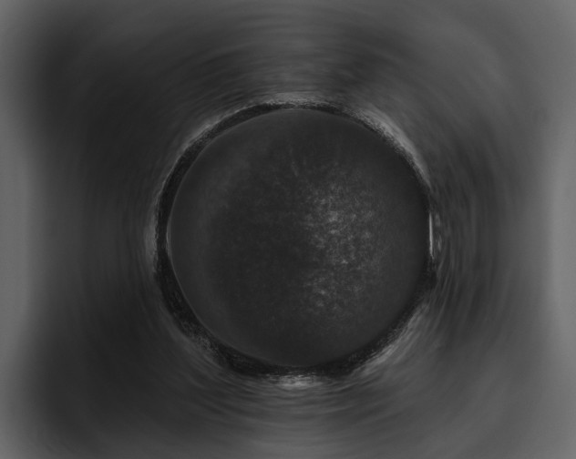 X0000095920204200801111242