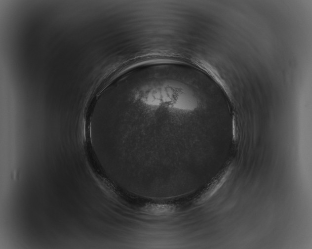 X0000095920205200801111242