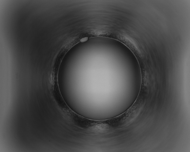 X0000095920210200801111242