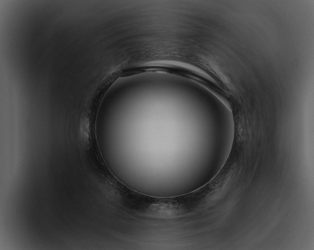 X0000095920211200801111242