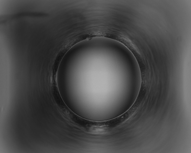 X0000095920213200801111242