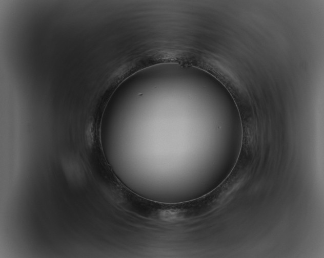 X0000095920216200801111241