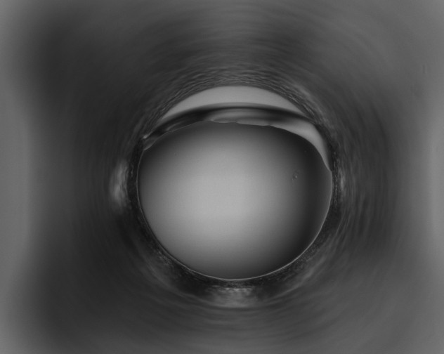 X0000095920217200801111241