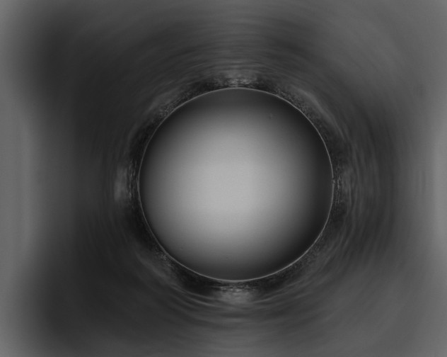 X0000095920218200801111241