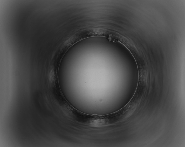 X0000095920220200801111241