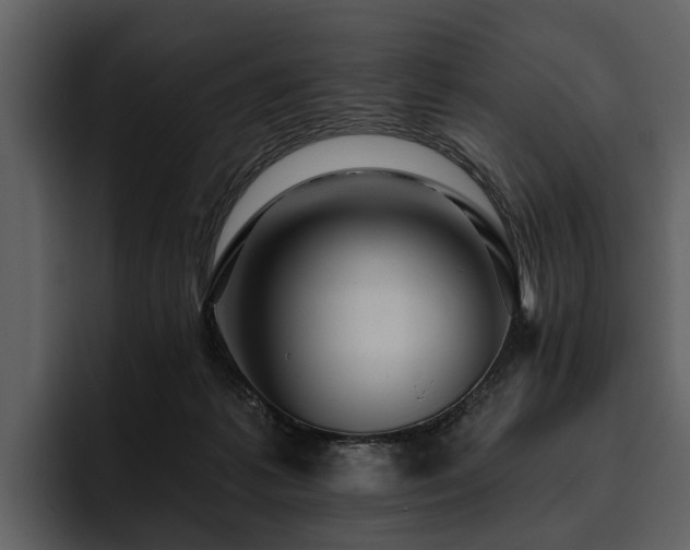 X0000095920221200801111241