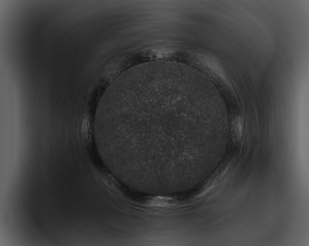 X0000095920222200801111241