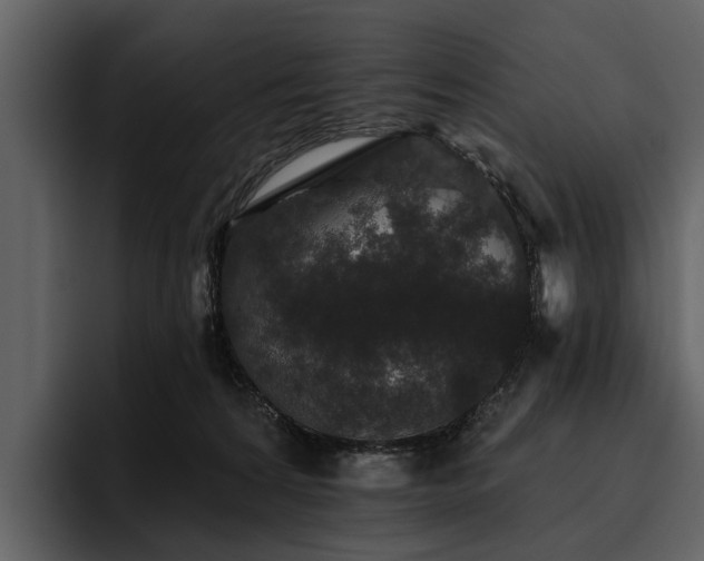 X0000095920224200801111241