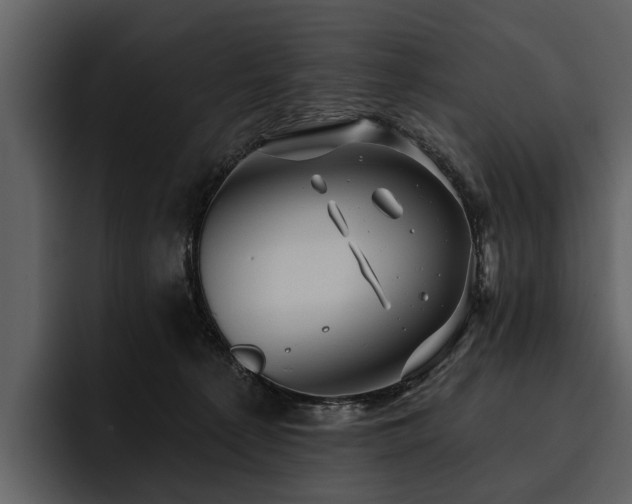 X0000095920225200801111241