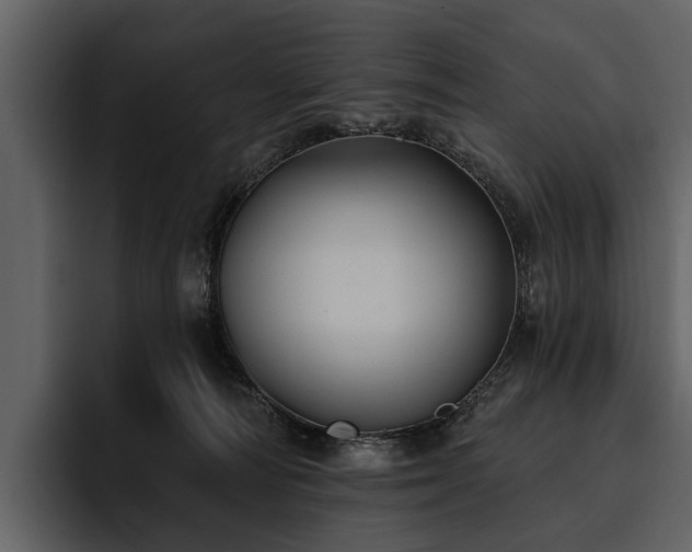 X0000095920226200801111241