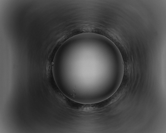 X0000095920228200801111241