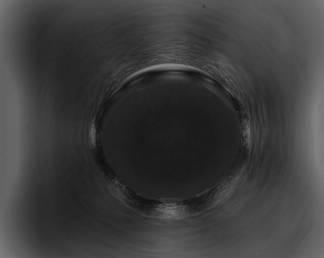 X0000095920231200801111241