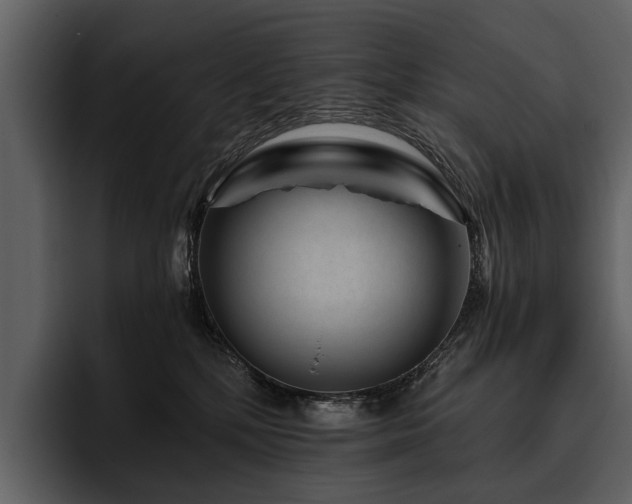 X0000095920232200801111241