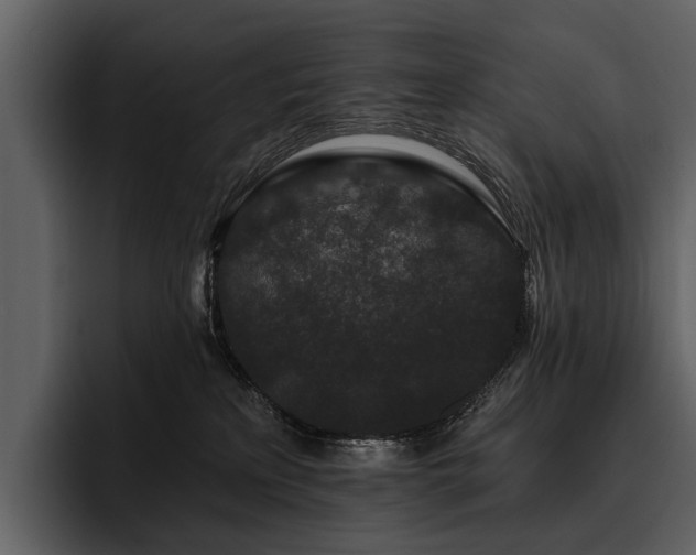 X0000095920233200801111241