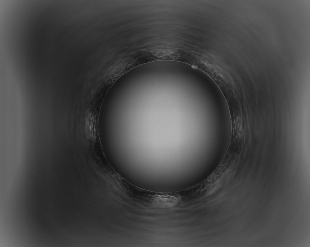 X0000095920234200801111241