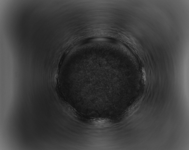 X0000095920235200801111241