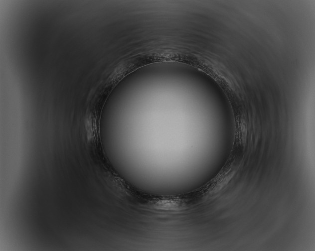 X0000095920236200801111241