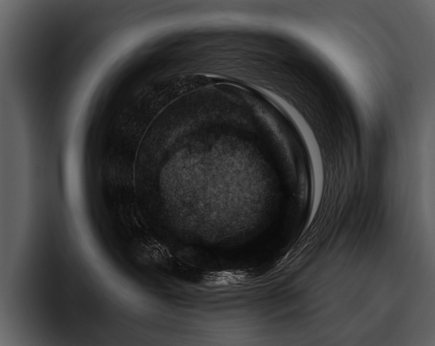 X0000095920239200801111241