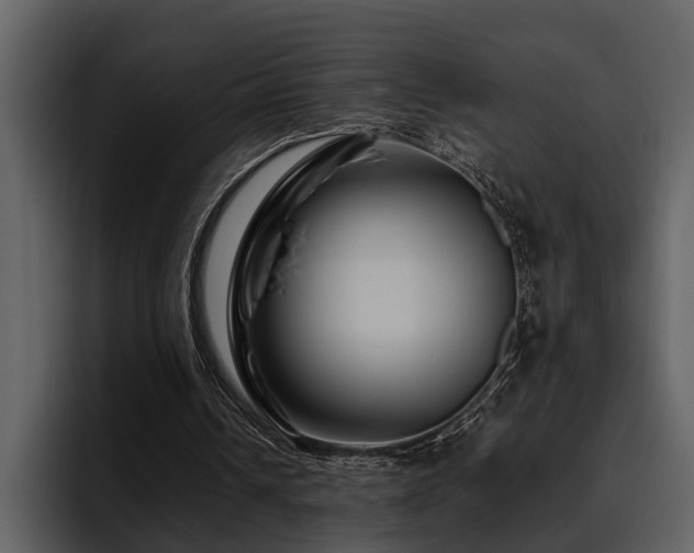 X0000095920242200801111241