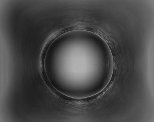 X0000095920245200801111241