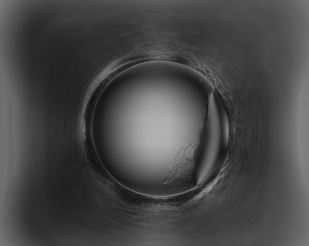 X0000095920246200801111241