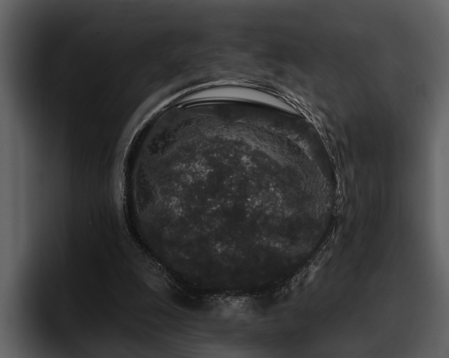 X0000095920247200801111241