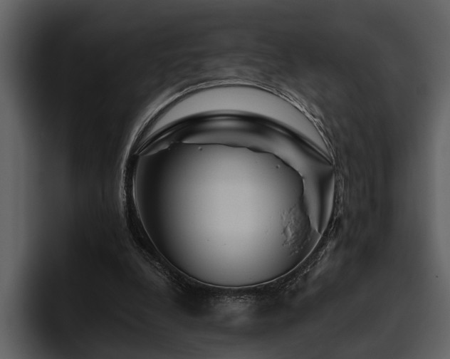 X0000095920248200801111241