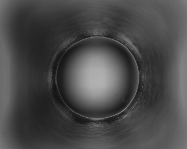 X0000095920250200801111241